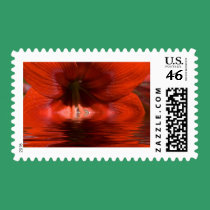 Red Liquid stamps