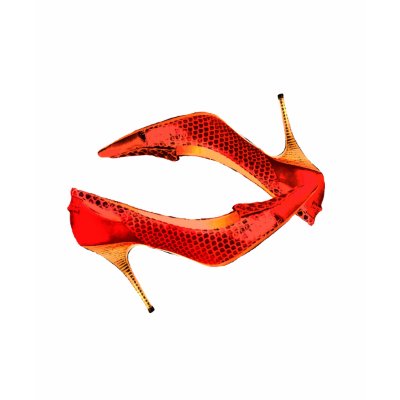 Red Lizard and Wooden Heels Tee Shirts by ElainePlesser