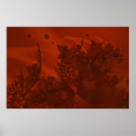 Red Lobster Spectrum 2 Redzoom 2 Poster