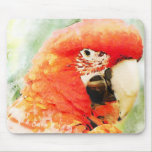 Red Macaw-MP mousepads