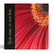 Red Macro Gerbera Daisy Flower Binders