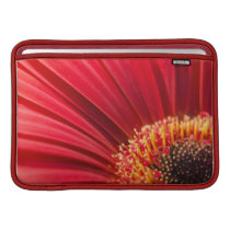 Red Macro Gerbera Daisy Flower Sleeve For MacBook Air
