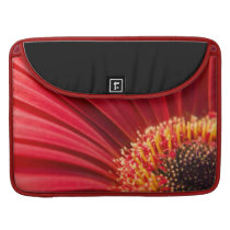 Red Macro Gerbera Daisy Flower Sleeve For MacBook Pro