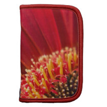 Red Macro Gerbera Daisy Flower Planner