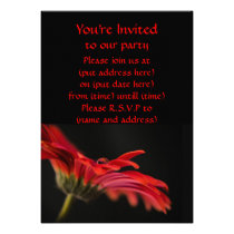 Red Macro Gerbera Flower Announcements