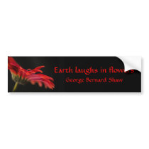 Red Macro Gerbera Flower Bumper Stickers