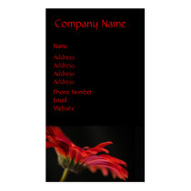 Red Macro Gerbera Flower Business Cards