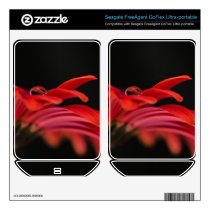 Red Macro Gerbera Flower FreeAgent GoFlex Decals