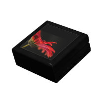 Red Macro Gerbera Flower Gift Boxes