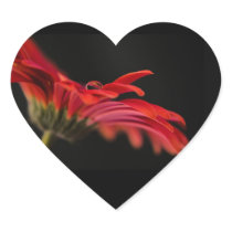 Red Macro Gerbera Flower Heart Stickers