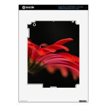 Red Macro Gerbera Flower iPad 3 Decals
