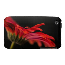Red Macro Gerbera Flower iPhone 3 Case-Mate Case