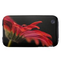 Red Macro Gerbera Flower iPhone 3 Tough Case