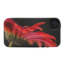 Red Macro Gerbera Flower iPhone 4 Cover