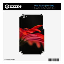 Red Macro Gerbera Flower iPod Touch 4G Decal