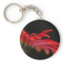 Red Macro Gerbera Flower Key Chains