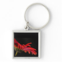 Red Macro Gerbera Flower Key Chains
