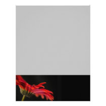 Red Macro Gerbera Flower Letterhead Template