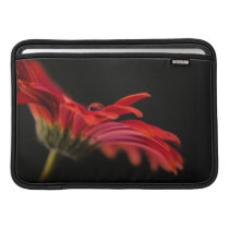 Red Macro Gerbera Flower MacBook Air Sleeve