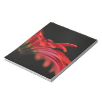 Red Macro Gerbera Flower Memo Pad