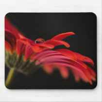 Red Macro Gerbera Flower Mouse Pad