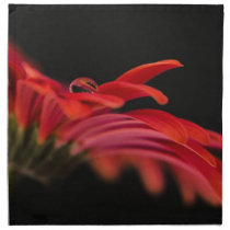 Red Macro Gerbera Flower Napkins