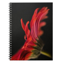 Red Macro Gerbera Flower Note Books