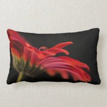 Red Macro Gerbera Flower Pillow