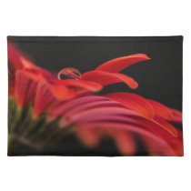 Red Macro Gerbera Flower Placemats