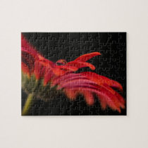 Red Macro Gerbera Flower Puzzles