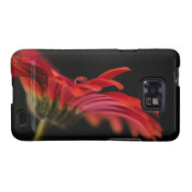 Red Macro Gerbera Flower Samsung Galaxy S Covers