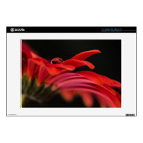 Red Macro Gerbera Flower Skin For 13" Laptop