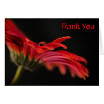 Red Macro Gerbera Flower Thank You Card