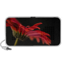 Red Macro Gerbera Flower Travelling Speakers