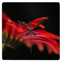 Red Macro Gerbera Flower Wallclocks