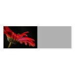 Red Macro Gerbera Flower Wedding Place Name business cards