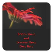 Red Macro Gerbera Flower Wedding Square Sticker