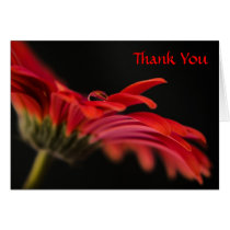 Red Macro Gerbera Flower Wedding Thank You Card