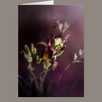 red magic day lilies 4 cards