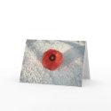 Red Maldivian Hibiscus cards