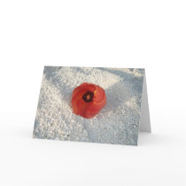 Red Maldivian Hibiscus cards by aimoir Red Maldivian Hibiscus cards