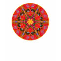 Red Man-dala Kaleidoscope t-shirts by Aquavel Red Man-dala Kaleidoscope t-shirts
