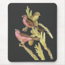 Red-mantled Rosefinch Mouse Pads
