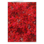 red maple card