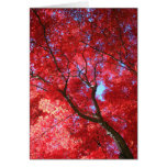 Red Maple Card Red Maple Card