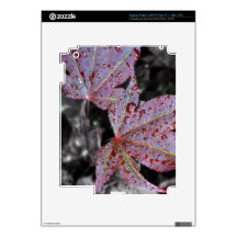Red Maple iPad 3 Decal