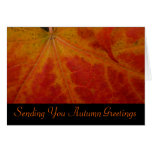 Red Maple Leaf Autumn Greetings Card