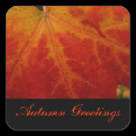 Red Maple Leaf Autumn Greetings Sticker