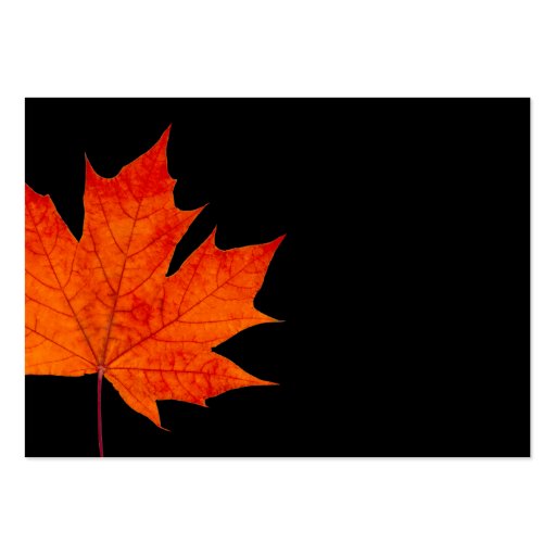 Red maple leaf business card template (front side)