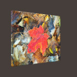 Red Maple Leaf canvas prints